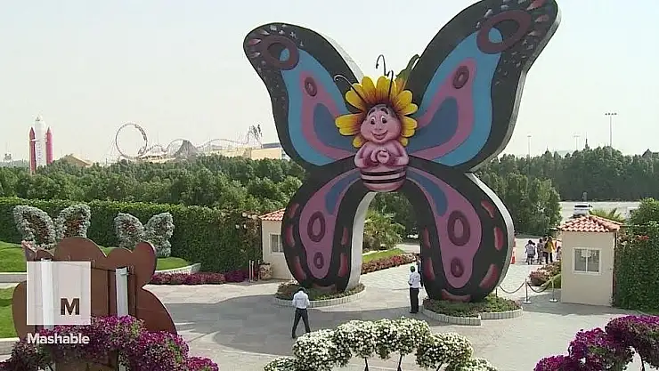 KELEBEK TEMALI PARK YAPILIYOR