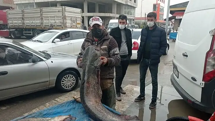 'Kendi boyundan uzun balık yakaladı'