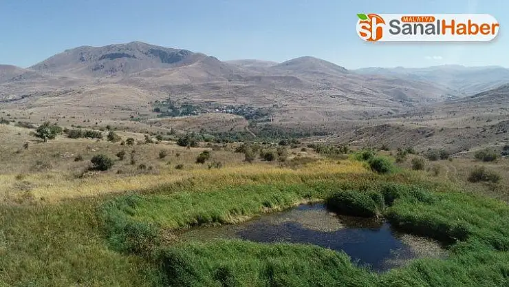 Keşfedilmeden yok oluyor