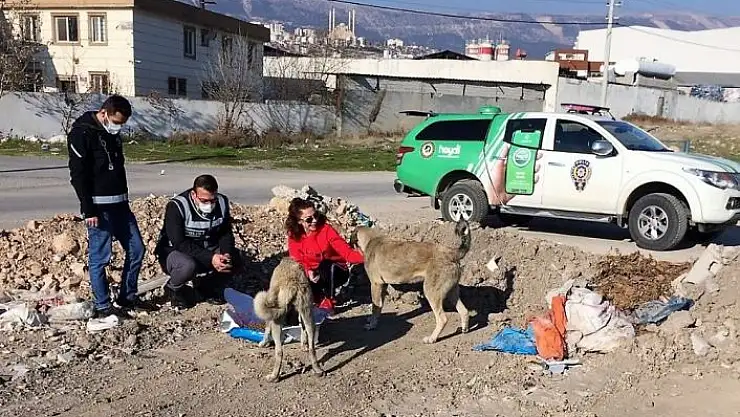 'Kısıtlamada sokak hayvanlarına mama'