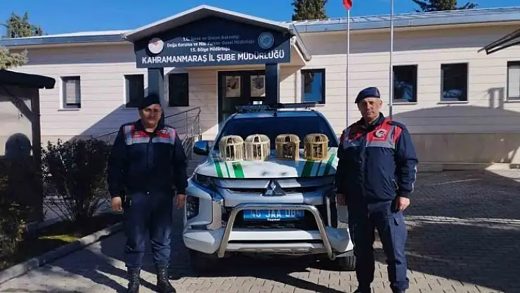 'Konteynerde keklik besleyen şahıs yakalandı'