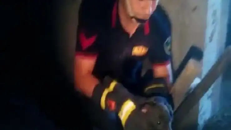 İnşaat Boşluğuna DÜşen Yavru Köpek