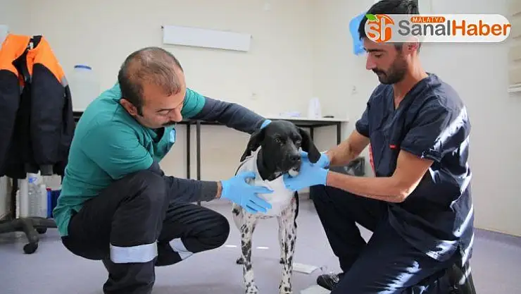 Korkunç görüntüler Sivas'ta çekilmemiş