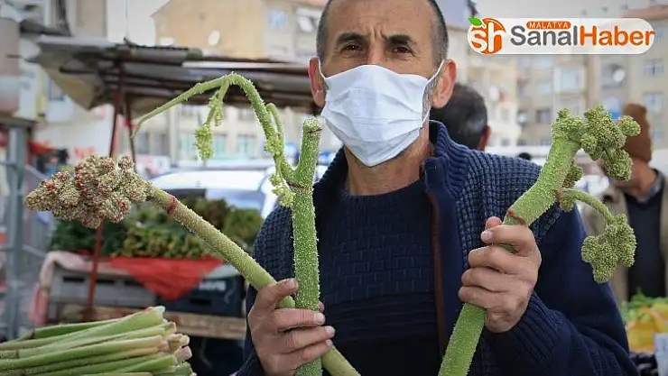 Korona'ya karşı birebir Doğu'nun muzu 'Işkın' ama talep az