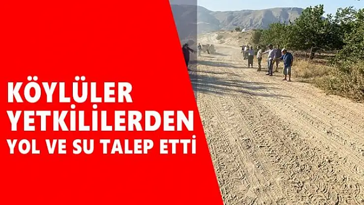 Köylüler, yetkililerden yol ve su talep etti