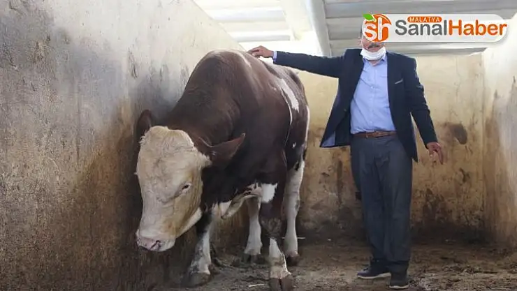 Köyüne kurduğu çiftlikte kazandığı para dudak uçuklatıyor
