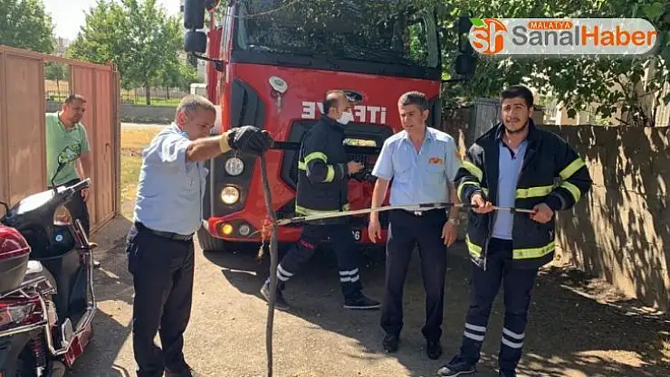 Kümese giren yılan korkuttu