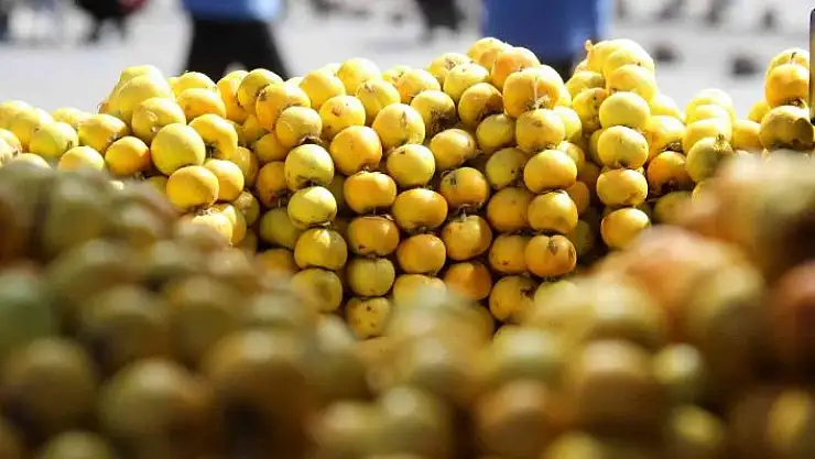 'Kurak bölgelerde yetişiyor, faydası saymakla bitmiyor'