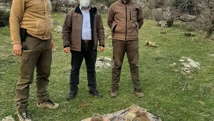 'Kurakçılık yöntemiyle keklik avlayan 2 kişi yakalandı'