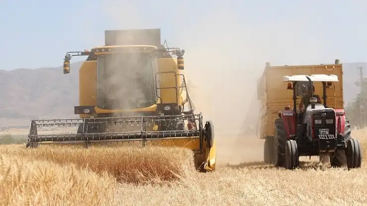 'Kuraklık hasadı başlayan buğdayı da vurdu, rekolte yüzde 70´lere kadar düştü'