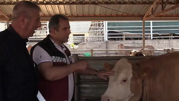 'Kurban Bayramı öncesi hayvan pazarında denetim'