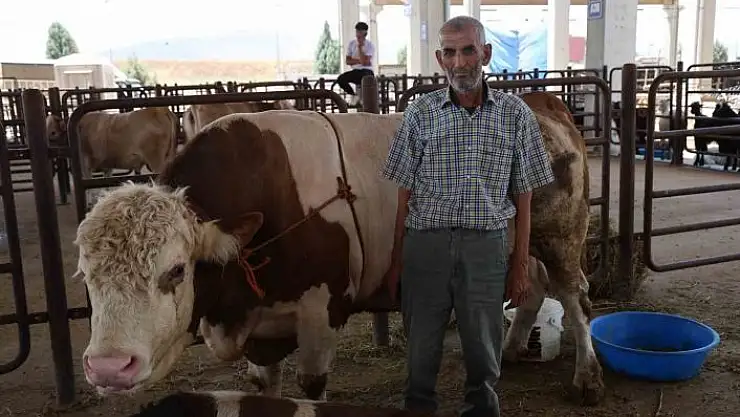'Kurban pazarının en büyük tosunu 230 bin liraya satışta'