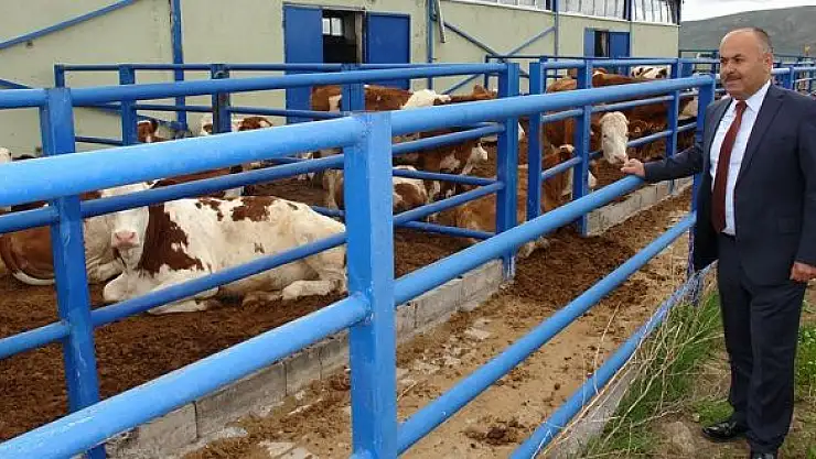 'Kurbanda yaş uyarısı'