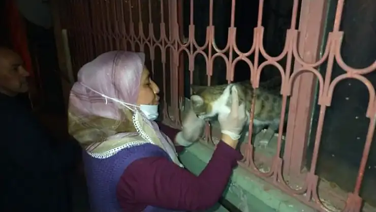 'Kurtarılan kedisini öperek sevdi'