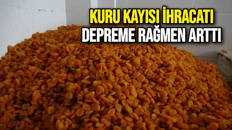 Kuru kayısı ihracatı depreme rağmen arttı