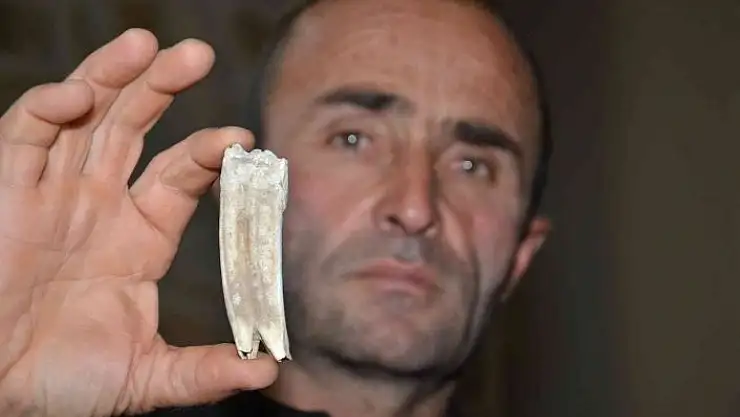 'Kuzu otlatırken 16 milyon yıllık at dişi buldu'