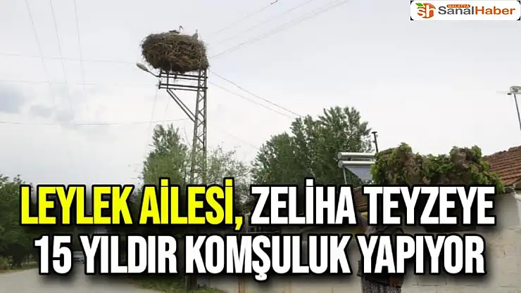 Leylek ailesi, Zeliha teyzeye 15 yıldır komşuluk yapıyor