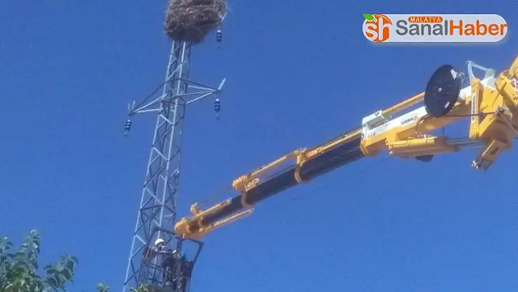 Malatya'da Leylek seferberliği