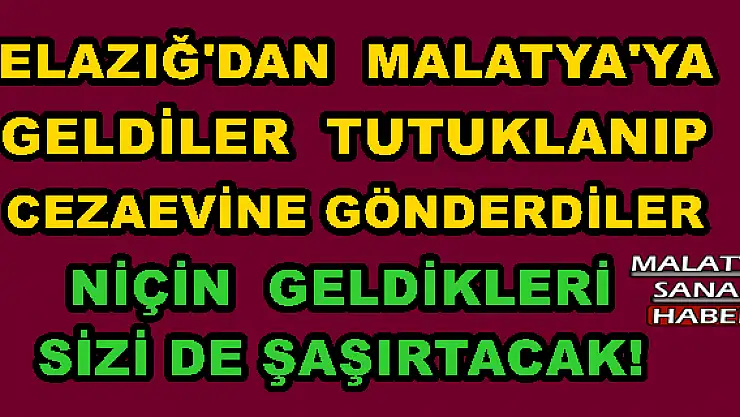 ELAZIĞ'DAN  MALATYA'YA GELDİLER  TUTUKLANIP CEZAEVİNE GÖNDERDİLER