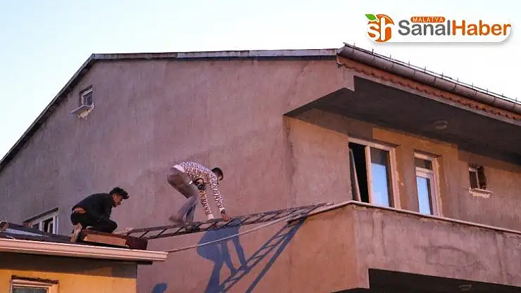 Mahsur kalan kedi için canını hiçe saydı
