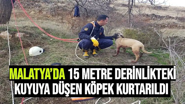 Malatya´da 15 metre derinlikteki kuyuya düşen köpek kurtarıldı 