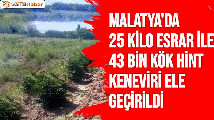 Malatya´da 25 kilo esrar ile 43 bin kök hint keneviri ele geçirildi