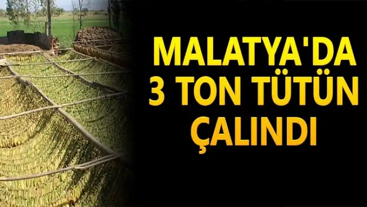 Malatya´da 3 ton tütün çalındı