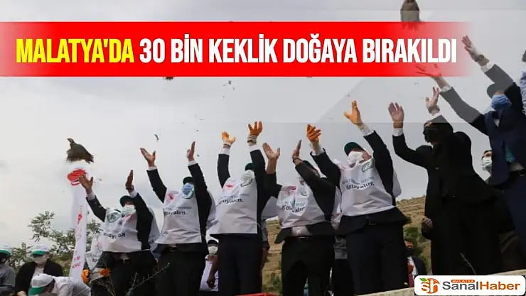 Malatya'da 30 bin keklik doğaya bırakıldı