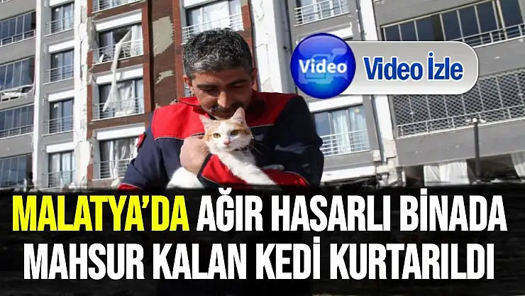 Malatya´da ağır hasarlı binada mahsur kalan kedi kurtarıldı