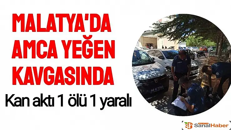 Malatya'da amca yeğen kavgasında kan aktı 1 ölü 1 yaralı
