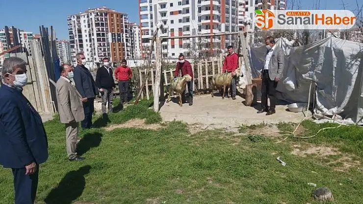 Malatya'da Bakan Soylu için 2 koç kesildi