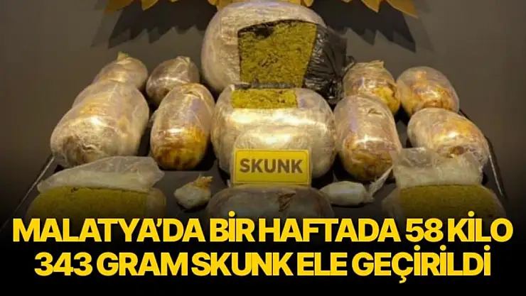 Malatya´da bir haftada 58 kilo 343 gram skunk ele geçirildi