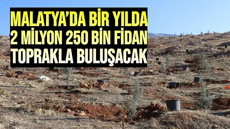 Malatya´da bir yılda 2 milyon 250 bin fidan toprakla buluşacak