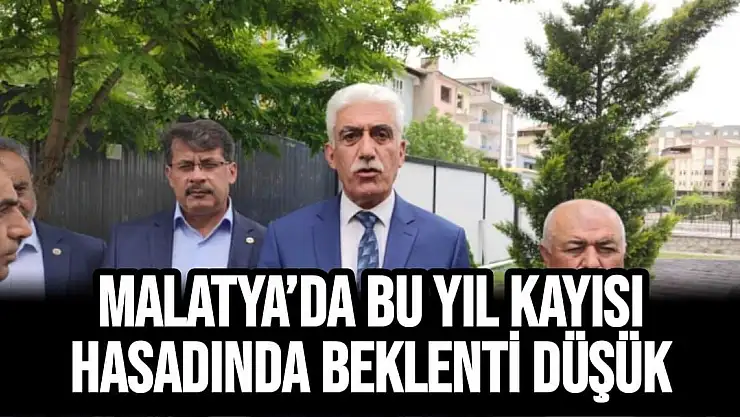 Malatya´da bu yıl kayısı hasadında beklenti düşük
