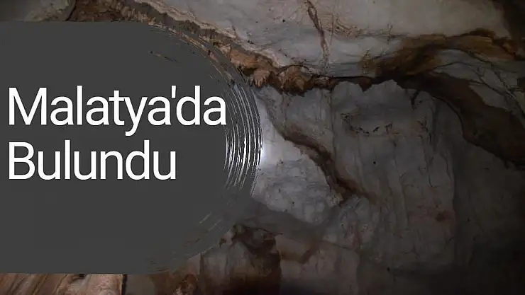 Malatya'da bulundu