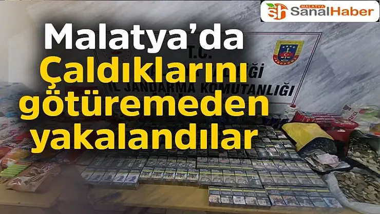 Malatya'da Çaldıklarını götüremeden yakalandılar