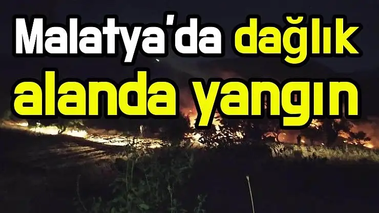 Malatya'da dağlık alanda yangın