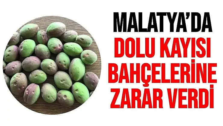 Malatya´da dolu, kayısı bahçelerine zarar verdi