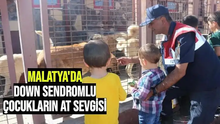Malatya'da Down Sendromlu çocukların at sevgisi