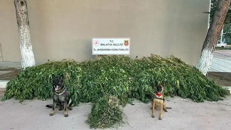 'Malatya´da dronlu uyuşturucu operasyonu'