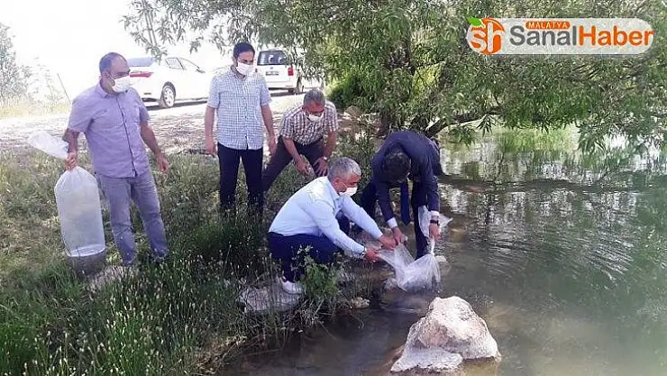 Malatya'da göletlere 50 bin balık bırakıldı
