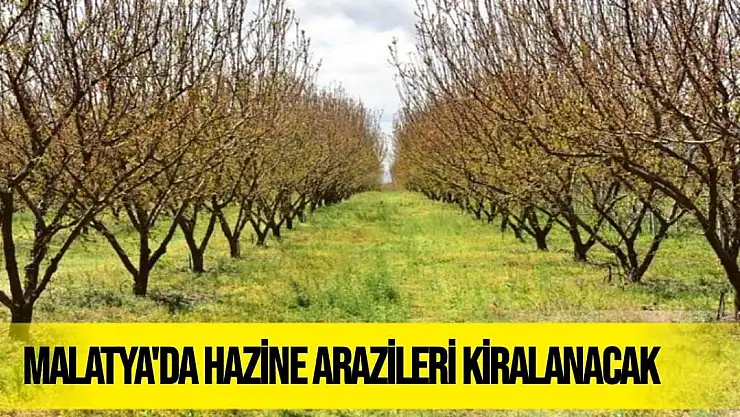 Malatya'da hazine arazileri kiralanacak