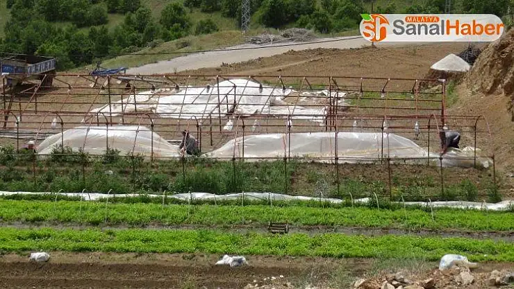 Malatya'da hortum bahçe ve seralara zarar verdi