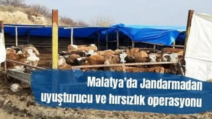 Malatya´da Jandarmadan uyuşturucu ve hırsızlık operasyonu