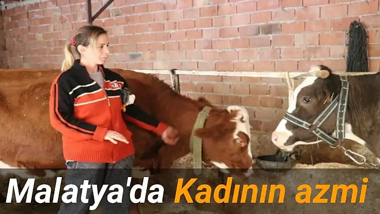 Malatya'da Kadının azmi