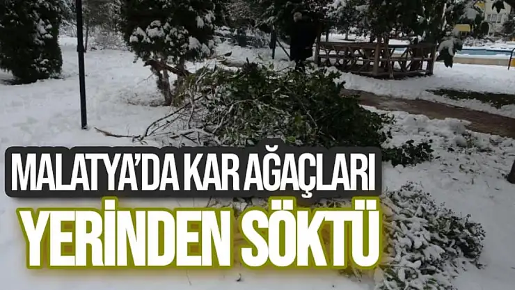 Malatya´da kar ağaçları yerinden söktü