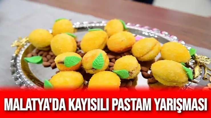 Malatya´da Kayısılı Pastam yarışması