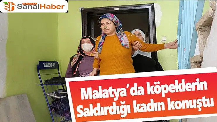 Malatya'da köpeklerin saldırdığı kadın konuştu