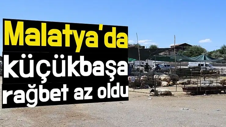 Malatya´da küçükbaşa rağbet az oldu