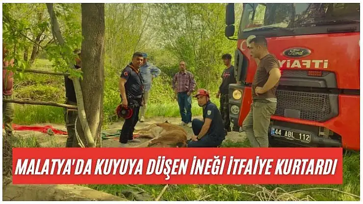 Malatya'da Kuyuya düşen ineği itfaiye kurtardı